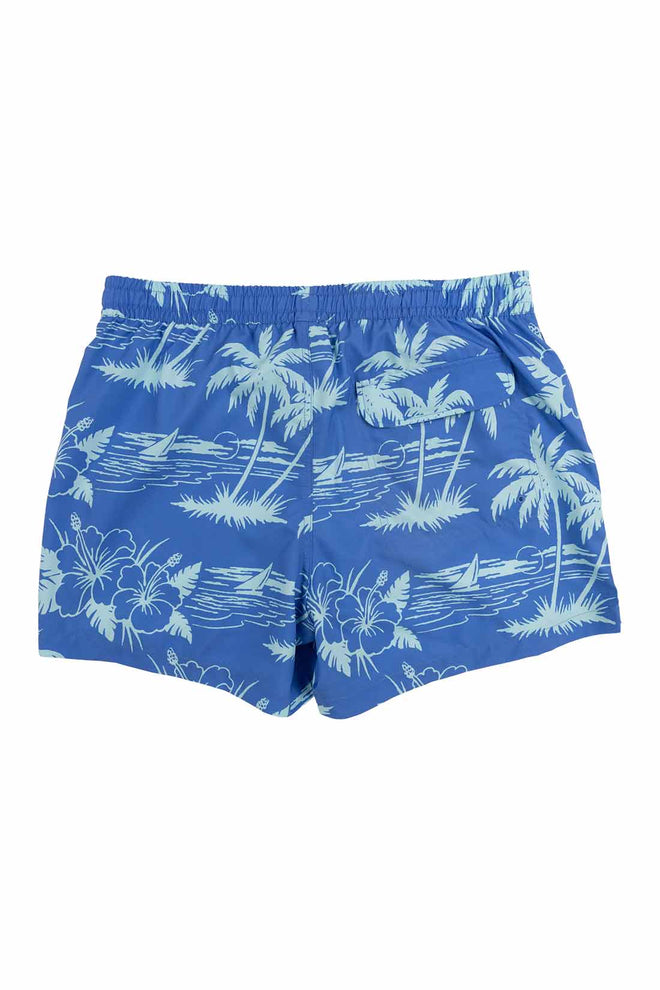 Duvin Blue Breeze Swimtrunk back