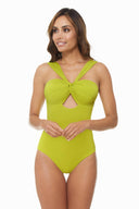 Chamela Bari Lime One Piece