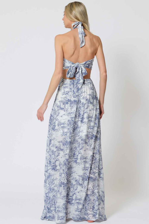 Printed Halter Maxi Dress back