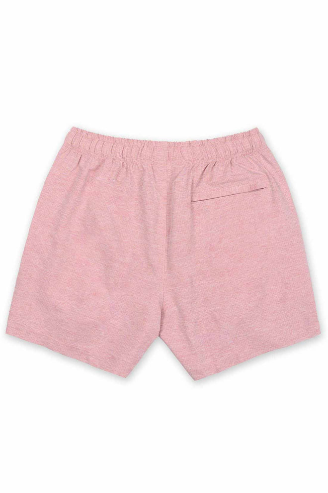 Mauve Solid Shorts back