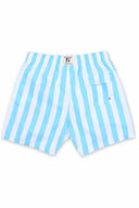 Aqua Stripes Swim Trunk back