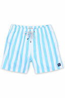 Aqua Stripes Swim Trunk