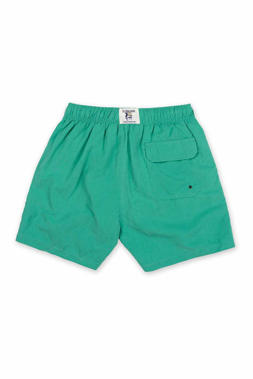 Green Solid Swim Trunk back