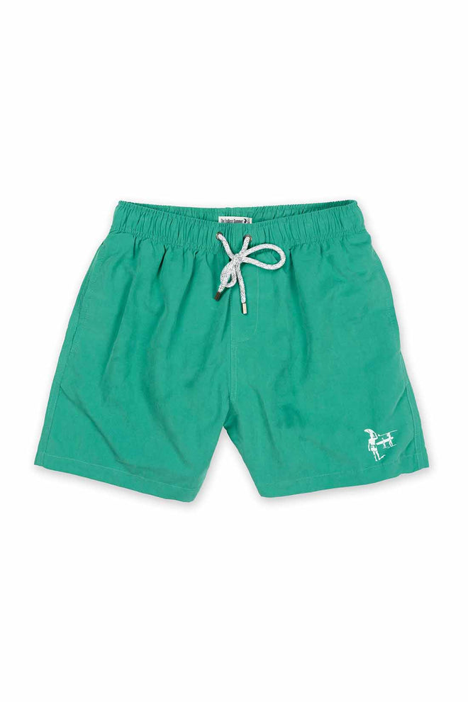 Green Solid Swim Trunk