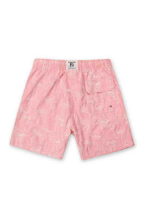 Pink Embroidered Swimtrunk back