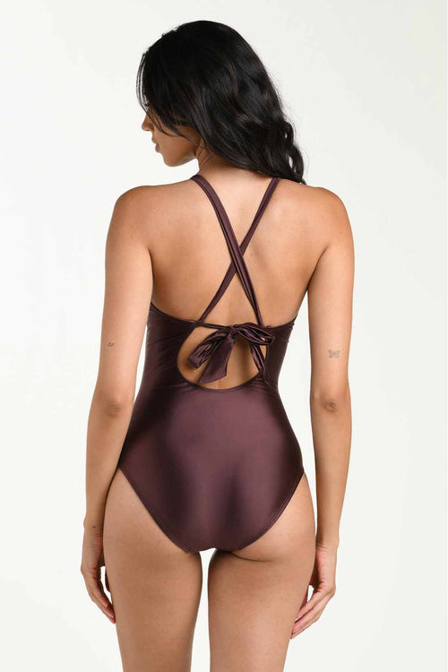 La Blanca Earth Goddess Truffle Keyhole One Piece back