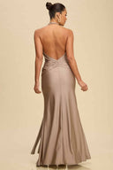 Pewter V Neck Flower Maxi Dress back