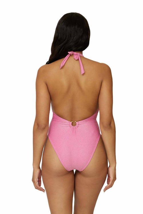 PQ Sorbet Plunge One Piece back