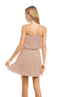 Irene Mauve Strapless Tube Mini Dress bac