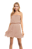 Irene Mauve Strapless Tube Mini Dress