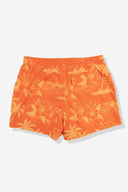 Duvin Red Breeze Swimtrunk back