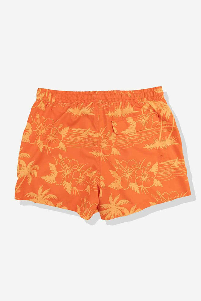 Duvin Red Breeze Swimtrunk back