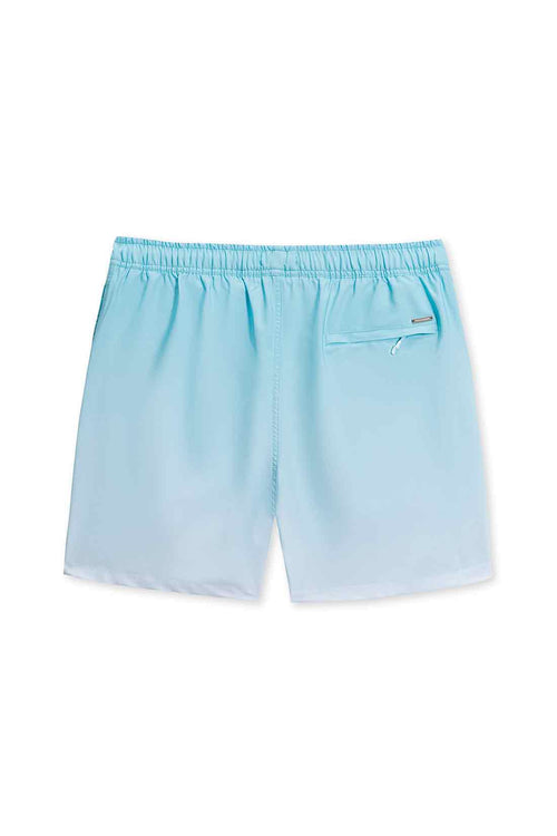 Teal Performance Swimtrunk back