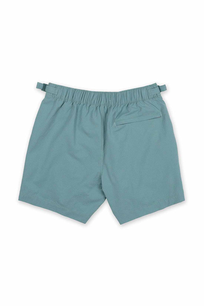 Green Poolside Swim Trunk back